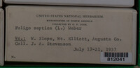 Image Associated With the Occurence